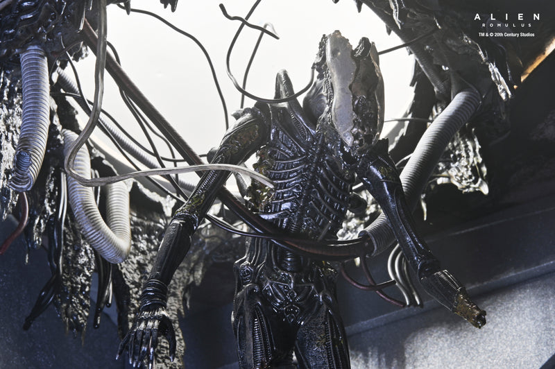 NECA Figura de Accion: Alien Romulus - Xenomorfo XX121 de laboratorio suspendido Deluxe 7 Pulgadas
