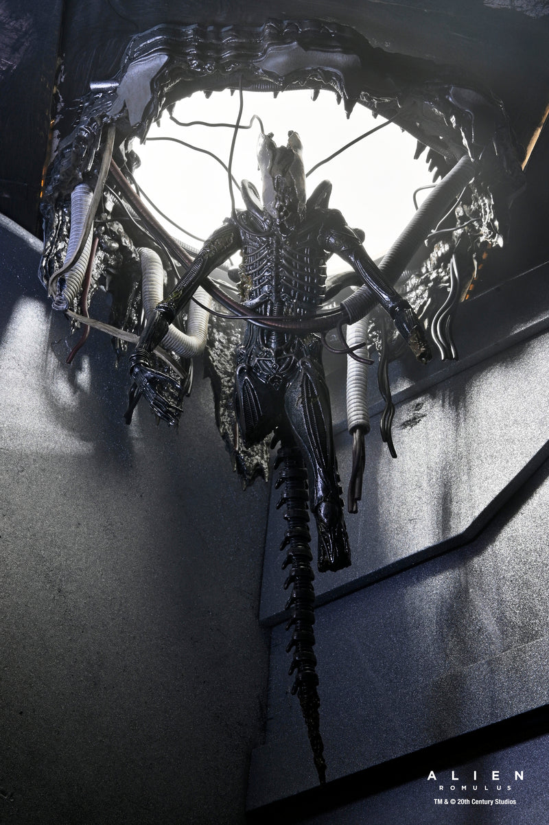 NECA Figura de Accion: Alien Romulus - Xenomorfo XX121 de laboratorio suspendido Deluxe 7 Pulgadas