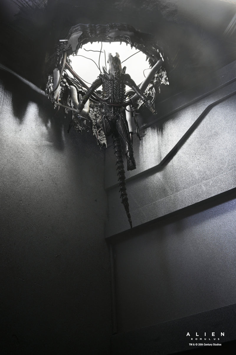 NECA Figura de Accion: Alien Romulus - Xenomorfo XX121 de laboratorio suspendido Deluxe 7 Pulgadas
