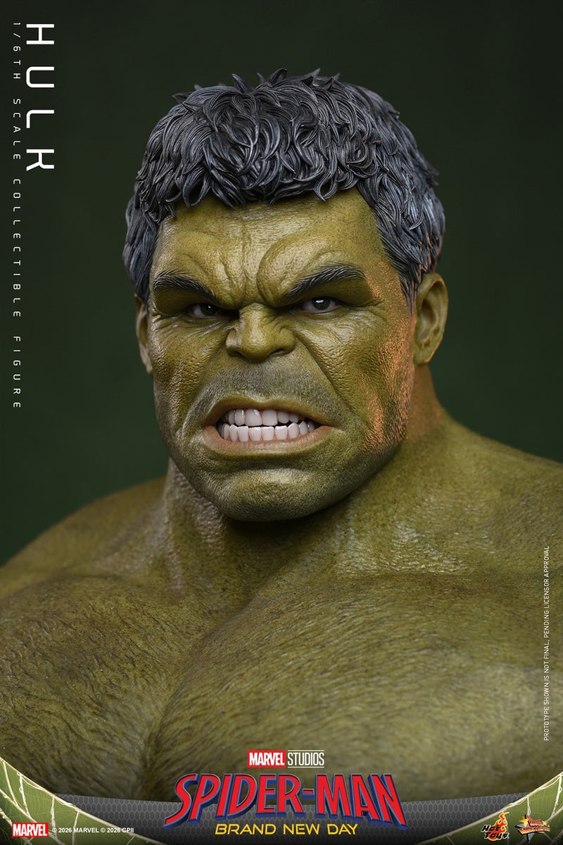 Hot toys Movie Masterpiece Series: Spiderman Brand New Day - Hulk Salvaje Escala 1/6