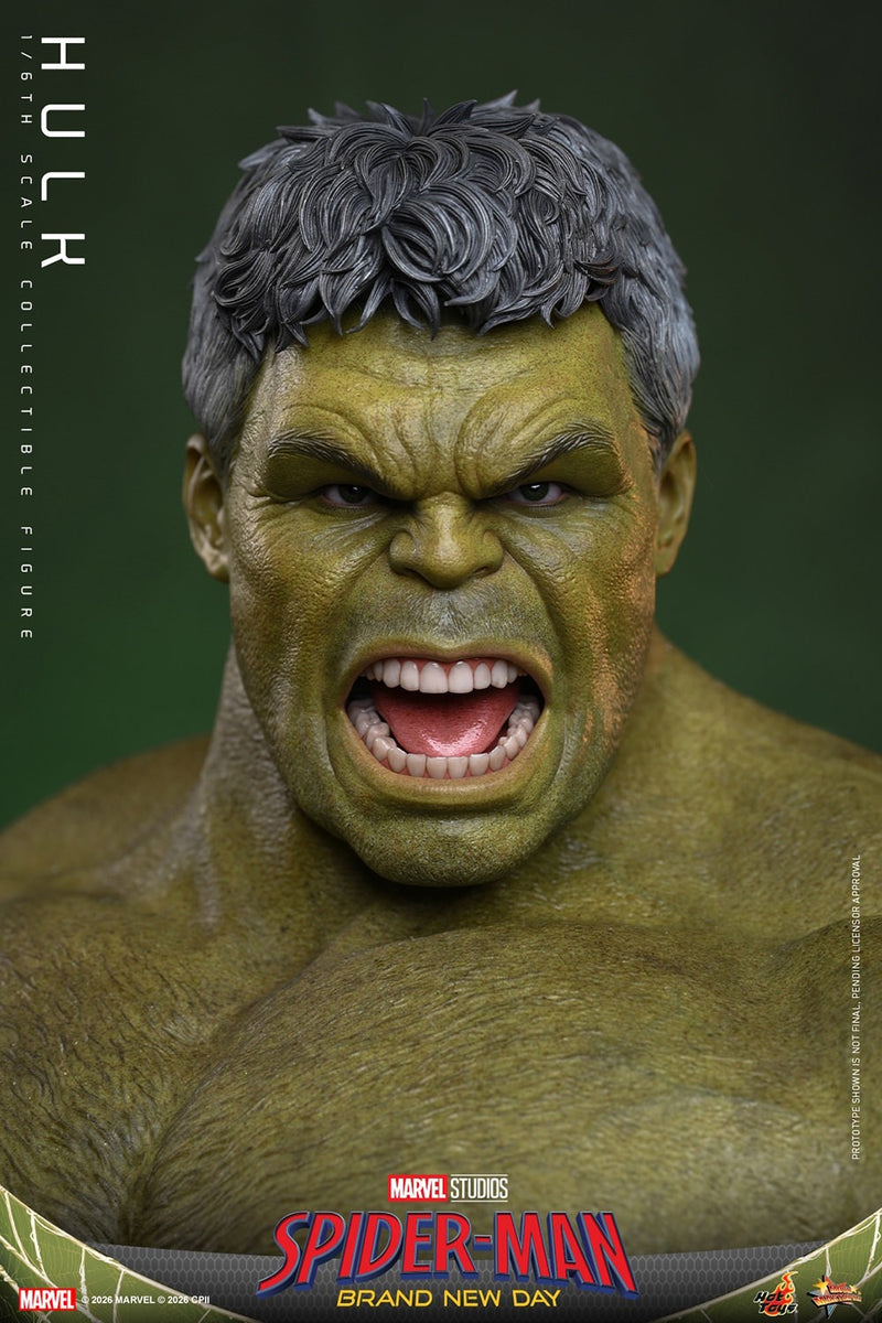 Hot toys Movie Masterpiece Series: Spiderman Brand New Day - Hulk Salvaje Escala 1/6